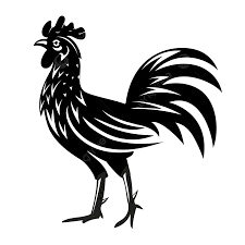 Rooster